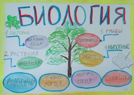 Плакат по биологии