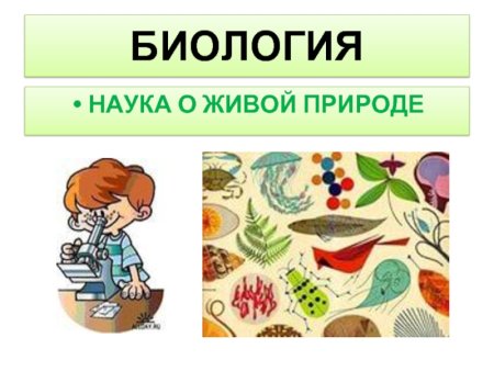 Науки биологии
