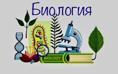 Биология рисунки