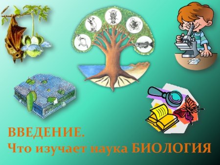 Биология это наука изучающая