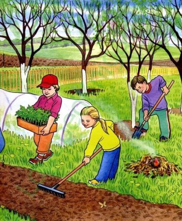 Труд в огороде весной