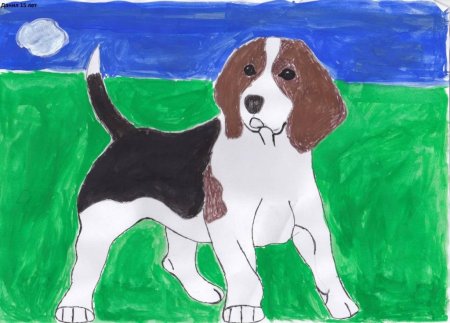 Рисование четвероногого друга