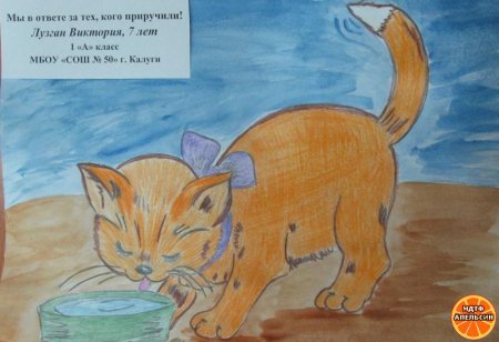 Мы в ответе за тех кого приручили рисунки