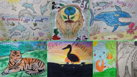 Экологический рисунок домашние питомцы