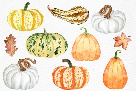 Тыквы наклейки акварель