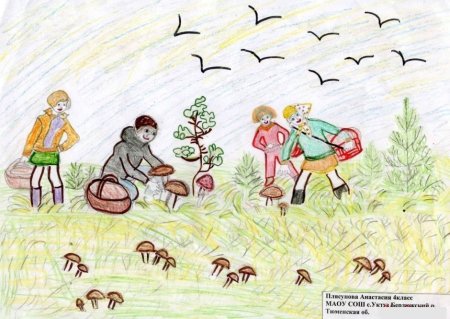 Рисунок сбор грибов в лесу