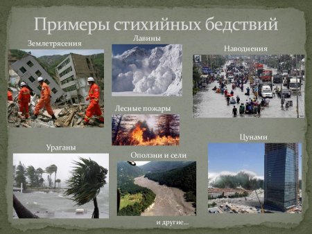 Стихийное обед ствия примеры