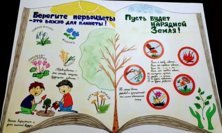 Плакат берегите растения
