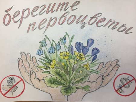 Рисунок берегите растения