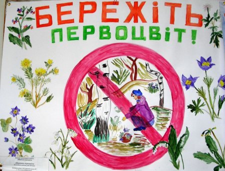 Плакат в защиту первоцветов