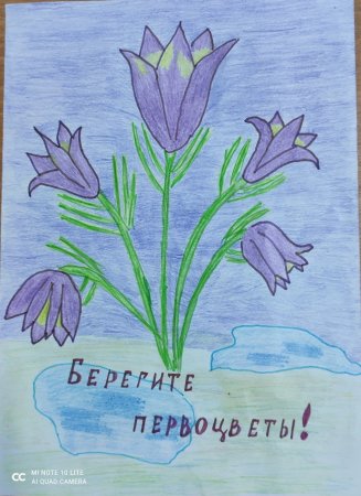 Плакат в защиту первоцветов