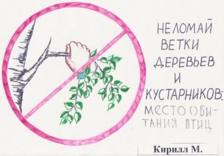 Рисунок на тему береги растения