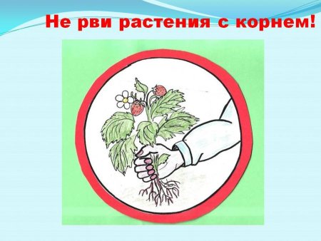 Берегите растения знаки