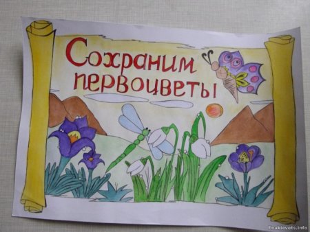 Сохраним первоцветы