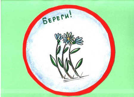 Берегите растения