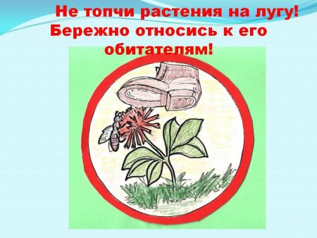 Рисунок на тему береги растения