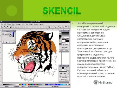 Редакторы векторной графики