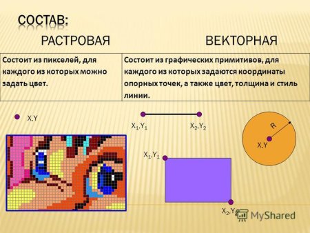 Растровая Графика Векторная Графика графические редакторы