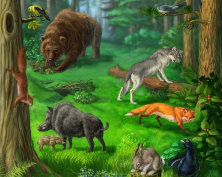 Жители леса