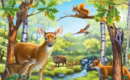 Лес и его обитатели