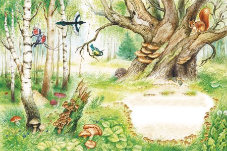 Экосистема леса для детей