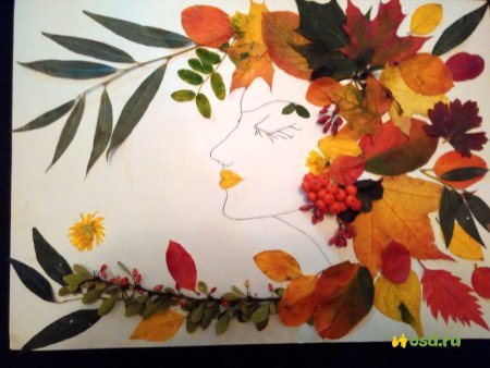Аппликация из листьев на ватмане