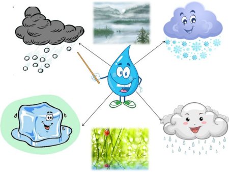 Волшебница вода