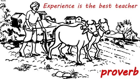 Крестьянский труд раскраска