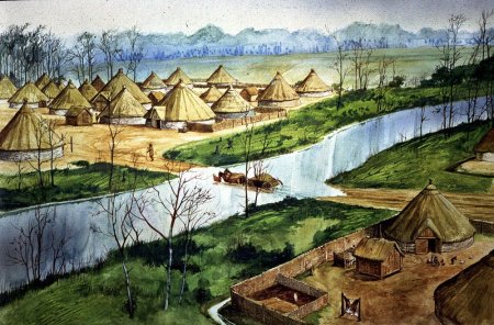 Поселение срубная культура