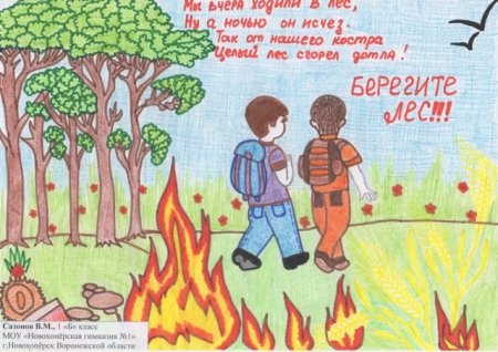 Рисунок на тему безопасность в лесу