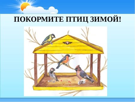 Рисование кормушка