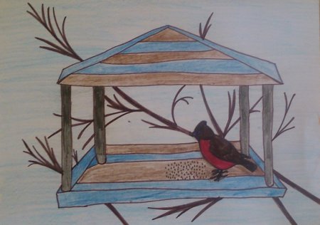 Поможем птицам зимой