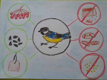 Идеи рисунков для кормушки