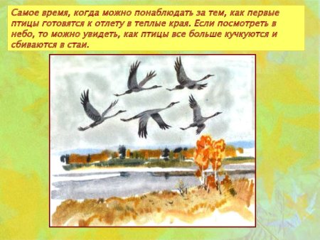 Птицы осенью для дошкольников