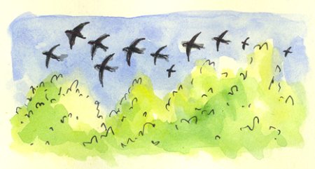 Рисование перелетные птицы