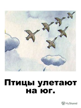 Раскраска птицы улетают на Юг