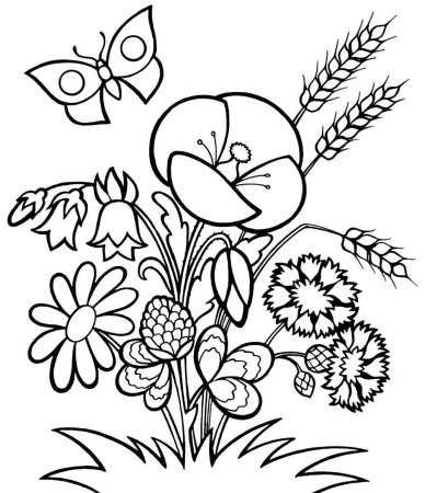 Полевые цветы раскраска