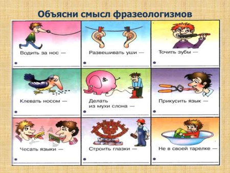Фразеологизмы в картинках