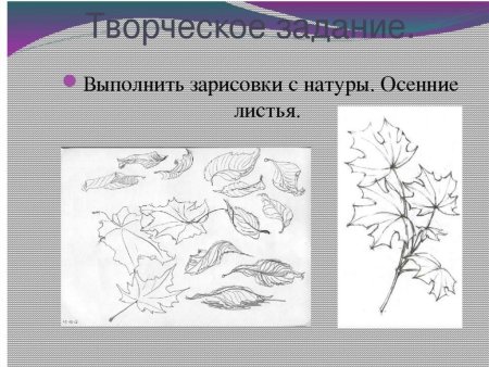 Рисунок основа изобразительного творчества