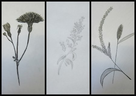 Рисунок основа изобразительного искусства