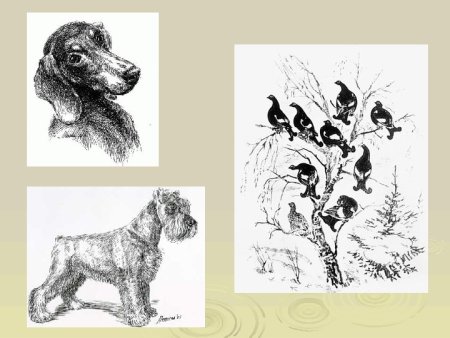 Рисунок основа изобразительного творчества