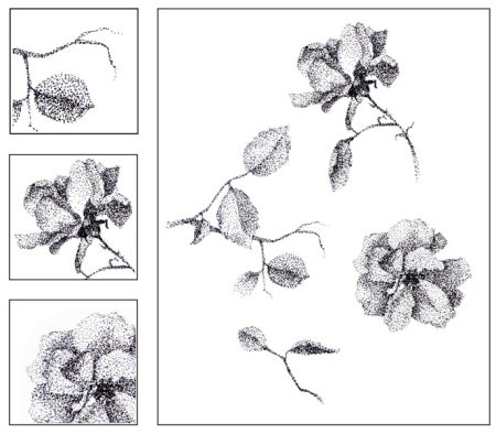 Диния и ке выразительные возможность