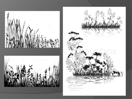 Проект на тему Изобразительное искусство