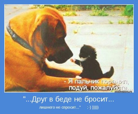 Друг в беде не бросит лишнего