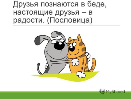 «Узнай пословицу по иллюстрации»