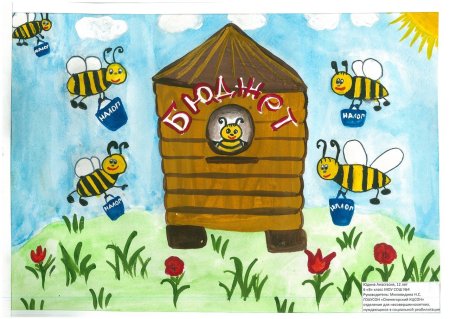 Сказочная Страна и ее бюджет