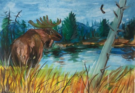 Рисунки о Хабаровском крае