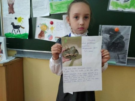 Проект мой любимый питомец