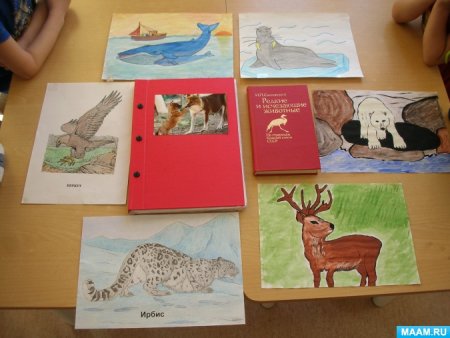 Проект красная книга детские работы