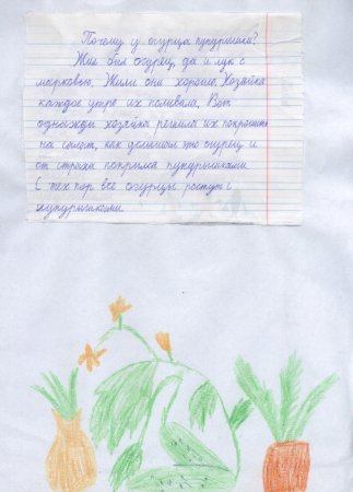 Сказки сочиненные детьми